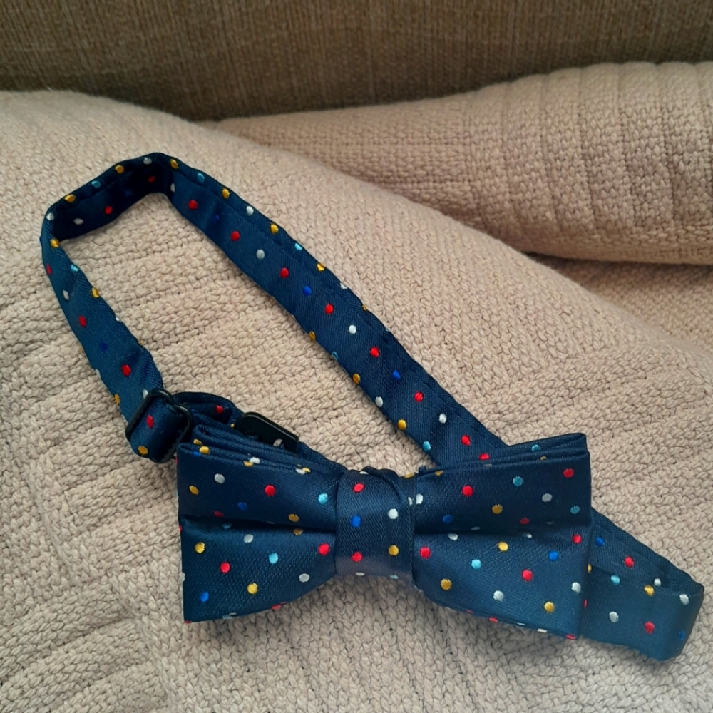 Zara Boys Polka Dot Bow Tie
